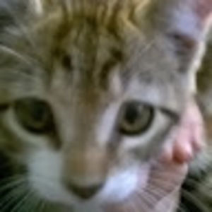 Meet your Posher, Jujubee0024